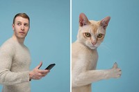 Manusia dan kucing yang mirip