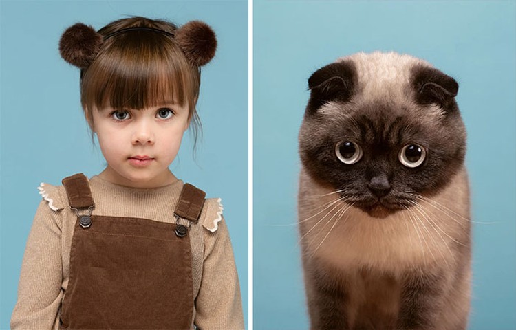 Manusia dan kucing yang mirip Manusia dan kucing yang mirip