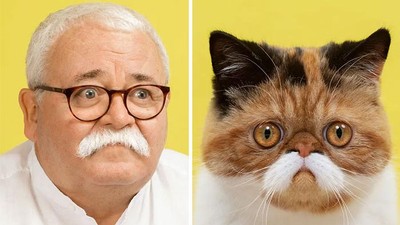 Potret Gemas Kucing dan Manusia yang Seperti Kembar