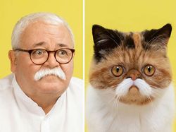 Potret Gemas Kucing dan Manusia yang Seperti Kembar