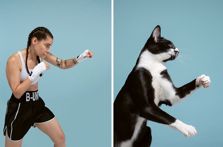 Manusia dan kucing yang mirip
