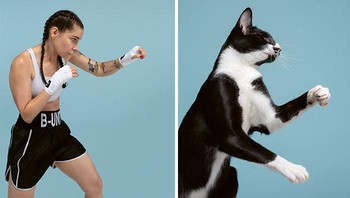 Gethings mengatakan ia harus keliling Inggris untuk menemukan model kucing yang beragam agar seri fotonya terlihat menarik. Foto: Gerrard Gethings