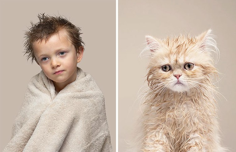 Manusia dan kucing yang mirip