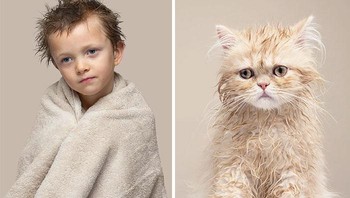 Bahkan setelah ketemu kucing yang cocok Gethings masih harus berusaha membuat kucingnya mau bekerjasama untuk difoto. Foto: Gerrard Gethings