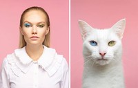 Manusia dan kucing yang mirip
