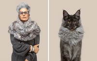 Manusia dan kucing yang mirip