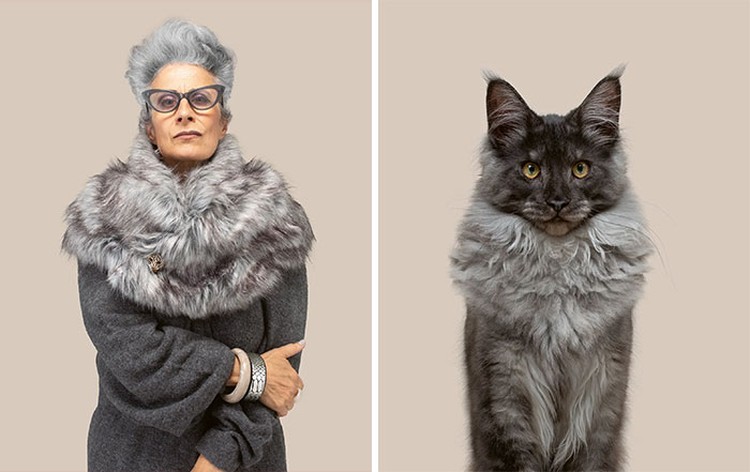 Manusia dan kucing yang mirip Manusia dan kucing yang mirip