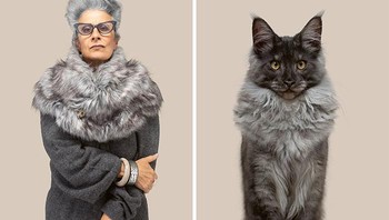 Pengalaman ini membuat Gethings yakin bahwa kucing memiliki selera humor yang jahat dan tampak seperti mengejeknya. Foto: Gerrard Gethings