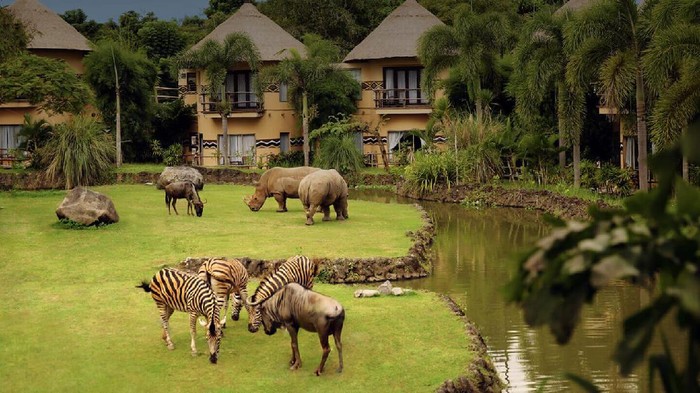 Tempat wisata safari di Bali.