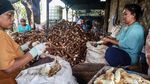 Melongok Pabrik Pembuatan Tape Singkong yang Eksis Sejak Tahun 70-an