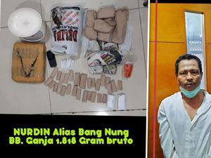 Polres Pelabuhan Tanjung Priok Ringkus DPO Kasus Narkoba, 1,8 Kg Ganja Disita