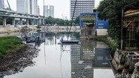 Rumput liar tumbuh di atasnya.