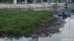 Pengerukan Pulau di Danau Setiabudi Barat