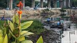 Pengerukan Pulau di Danau Setiabudi Barat