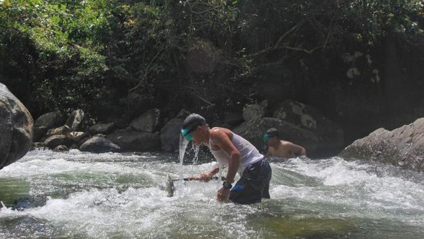 Dusun di Sumatra Selatan.