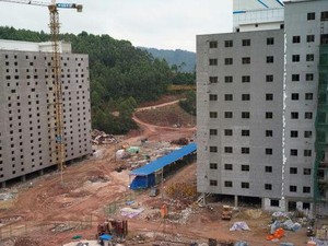 Untuk Cegah Wabah Flu Babi, China Menernakkan Babi di Kandang Bertingkat