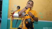 Monyet itu juga terlihat bersih karena sering dimandikan oleh pemiliknya.