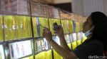 Mengintip Kontes Ikan Hias Betta dan Channa di Yogyakarta