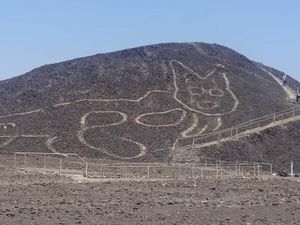 Gambar Kucing Raksasa Usia Ribuan Tahun Muncul di Nazca