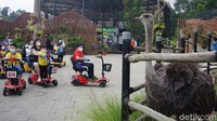 Lembang Park and Zoo memiliki kombinasi bermain out door dan kebun binatang. Traveler bisa melihat satwa sambil menaiki kendaraan. (Whisnu Pradana/detikcom)