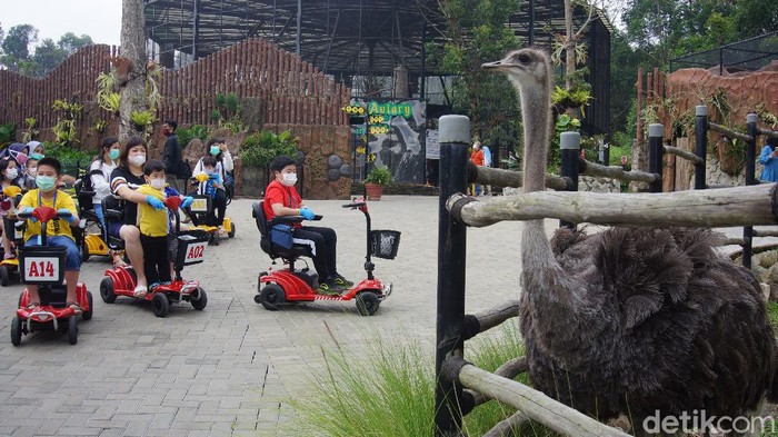 Lembang Park and Zoo Tambah Koleksi Satwa