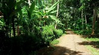Lokasi dusun menjorok ke dalam Hutan Alas Kupang sehingga terisolir dengan kapung lainnya.