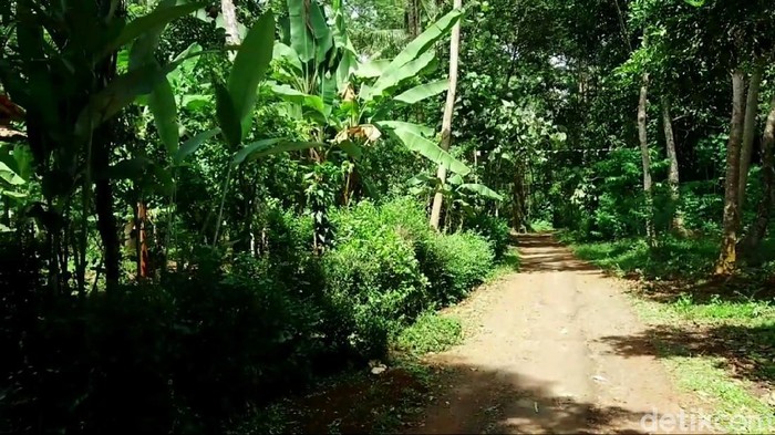 Dukuh Sibimo di Desa Brokoh, Wonotunggal, Batang, Jawa Tengah, ini sangat unik. Tak lebih dari 7 rumah yang berdiri di dusun tersebut.