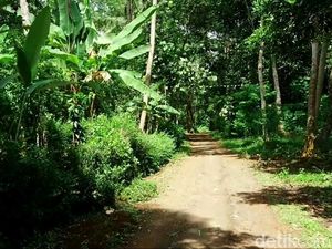 Percaya Nggak Percaya! Hanya Ada 7 Rumah di Kampung Sibimo Batang