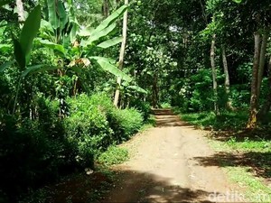 Percaya Nggak Percaya! Hanya Ada 7 Rumah di Kampung Sibimo Batang