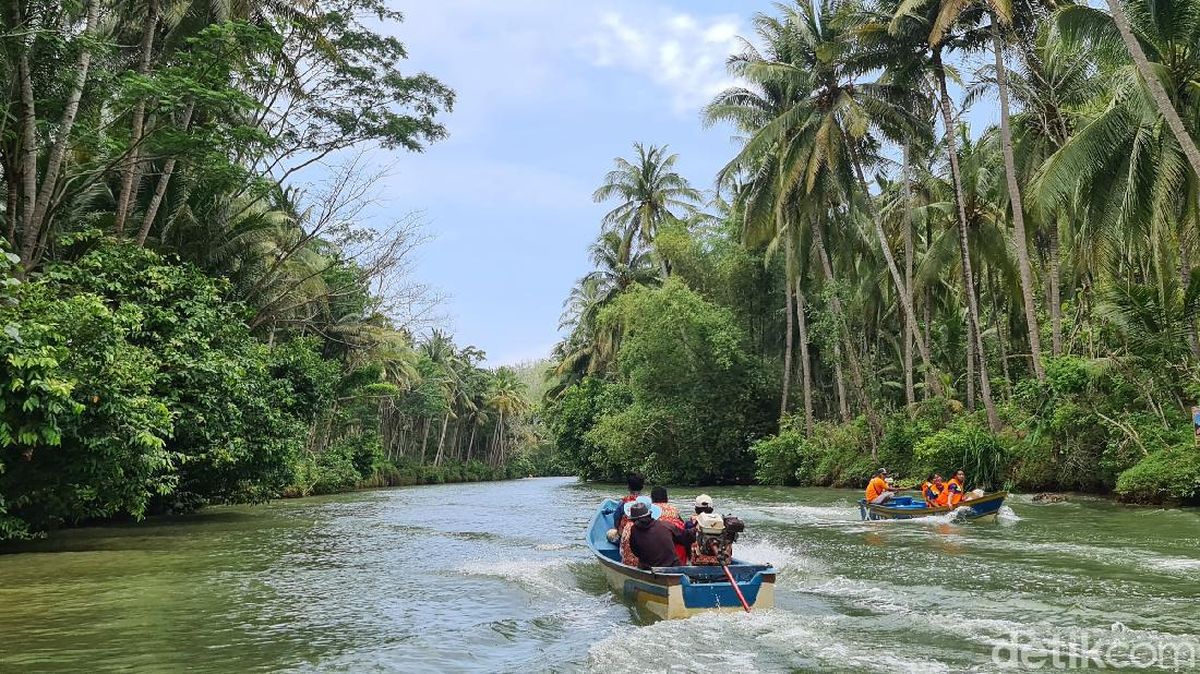 Indahnya Sungai Maron Pacitan, Amazonnya Jawa Timur