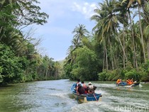 Indahnya Sungai Maron Pacitan, Amazonnya Jawa Timur