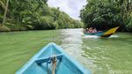 Sungai Maron, Amazon Versi Indonesia di Pacitan