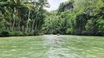 Sungai Maron, Amazon Versi Indonesia di Pacitan
