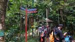 Berakhir Pekan di Taman Hutan Raya Bandung