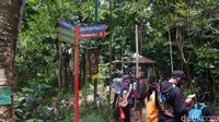 Pengelola masih menerapkan pembatasan pengunjung agar tidak terjadi kerumunan. Pengunjung disarankan melakukan wisata solo atau keluarga