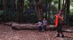 Berakhir Pekan di Taman Hutan Raya Bandung