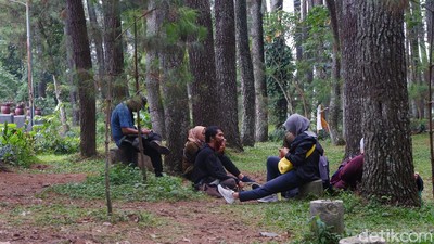 Berakhir Pekan di Taman Hutan Raya Bandung