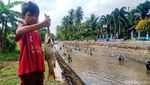 Melihat Tradisi Bersih-bersih Sungai di Purworejo