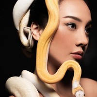 Dalam berbagai foto yang diunggah Winston Gomez, Anya tampak tenang berpose elegan dengan hewan yang dianggap kebanyakan orang menakutkan itu. Apalagi Anya bukan hanya berpose dengan satu ular saja. Foto: Instagram @winstongomez