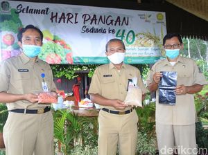Dinas Pertanian Banyuwangi Bagi-bagi Bibit Pangan dan Sayuran