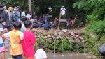 Festival Lima Gunung Digelar di Tengah Pandemi