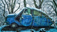 Dilansir dari BBC Indonesia, fotografer paruh waktu dari Jerman itu menemukan beragam mobil-mobil mangkrak tersebut dari berbagai area, mulai dari hutan belantara hingga ladang-ladang sepi. Istimewa/Dieter Klein/teNeues via BBC Indonesia.