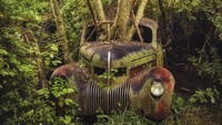 Salah satu mobil yang sempat diabadikan oleh Klein bahkan menunjukkan batang dan pokok pohon tampak menjulur menembus kaca depan mobil yang ditinggalkan tersebut. Istimewa/Dieter Klein/teNeues via BBC Indonesia.