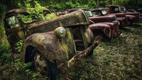 Seorang fotografer bernama Dieter Klein mengabadikan foto mobil-mobil lawas yang terlantar di berbagai wilayah di Eropa dan Amerika. Istimewa/Dieter Klein/teNeues via BBC Indonesia.