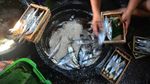 Geliat Usaha Bandeng Presto Juwana