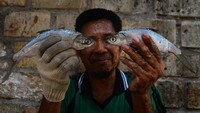 Pemerintah setempat berharap pengolahan ikan Bandeng Presto di Juwana tidak hanya berproduksi skala rumah tangga saja tetapi berkembang menjadi berproduksi skala industri di masa mendatang, karena keberadaan Usaha Pengolahan Ikan (UPI) itu banyak menyerap tenaga kerja serta mampu mendongkrak perekonomian warga menjadi semakin baik.  