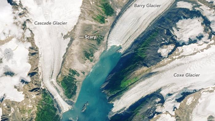 Gletser Alaska