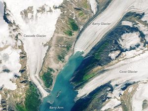 Pulau Baru Muncul di Alaska Akibat Gletser Cair, Pertanda Apa?