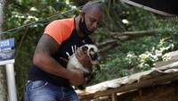 Beruntung ada sekelompok relawan yang bersedia menggalang dana dari pebisnis lokal. Mereka mengirim makanan dan minuman kucing ke pulau Furtada seminggu sekali.  