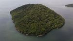 Foto Pulau Untuk Kucing Liar di Brasil